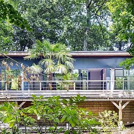 L'oasis 3*